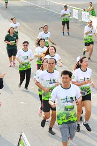 BIB: 
                            <button type="button" onclick="openModal(3552607)" class="btn btn-primary btn-sm float-right btn-popup" data-toggle="modal" data-target=".modal-high-quality">
                        <i class="fas fa-shopping-cart"></i> Add to Cart
                    </button>
                                            <button type="button" onclick="isThisMe(3552607, true)" class="btn btn-success btn-sm float-right btn-popup btn-isme hidden" data-toggle="tooltip" data-placement="bottom" title="นี่คือรูปของคุณใช่ไหม คลิกที่นี่เพื่อเอาเข้าอัลบั้ม">
                        <i class="fas fa-plus"></i> Add to album
                    </button>
                    <button type="button" onclick="isThisMe(3552607, false)" class="btn btn-warning btn-sm float-right btn-popup btn-isnotme hidden">
                        <i class="fas fa-ban"></i> Remove from album
                    </button>